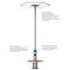light pole